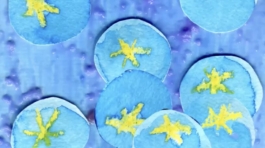 FallingQuietShiningStill