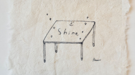 you don't have to die, you can shine
